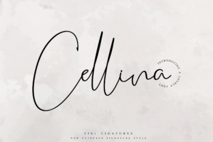 Cellina Font: Adding Bold Personality to Brand Identity