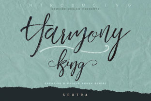 Harmony King Font Review: A Display Typeface for Campaigns