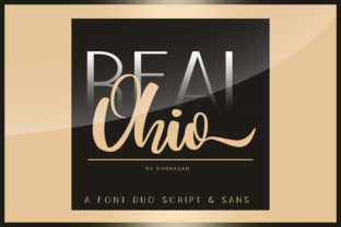 Real Ohio Duo Font Review for Web Design