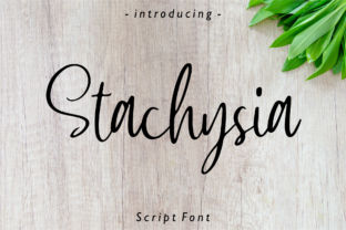 Stachysia: A Handwritten Font for Captivating Campaigns